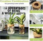 Glass Propagation Stations for Plants -Desktop Flower Vases,Propagation Flower Vases Set – 2 Large & 2 Small for Plant Cuttings，for Living Room, Bedroom Decoration,Home,Office Decor (4)