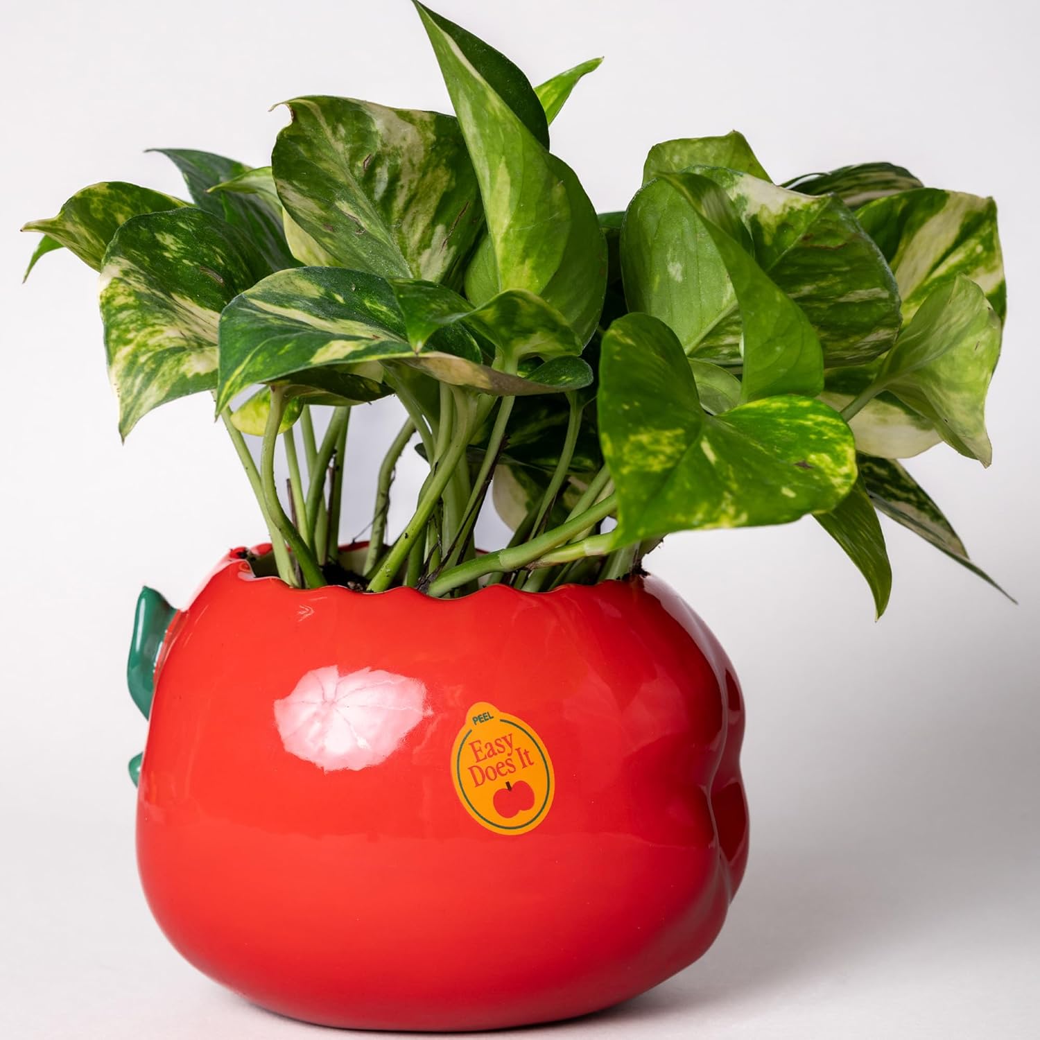 ban.do Small Cermaic Apple Vase, Red Apple | Cute Colorful Teacher Shelf Decor for Home or Office, Unique/Quirky/Funky/Fun Flower Vase Doubles as Pencil Cup
