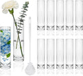 7.48 inch Tall Vases for Flowers,12PCS Glass Cylinder Vase, Single Rose Bud Vase for Event Decor,Bud Vases in Bulk for Wedding Centerpieces,Home Aesthetic Desk Decor, Party Decorations
