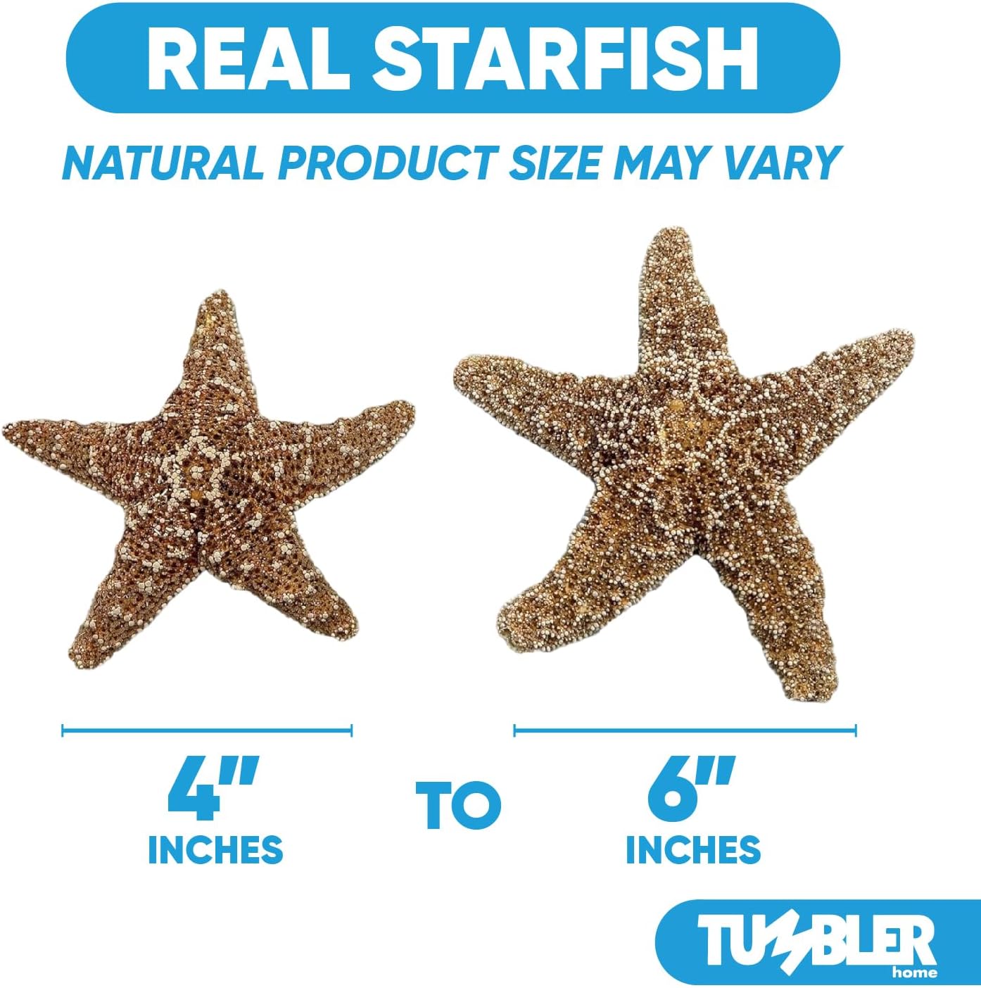 Tumbler Home Real Starfish Décor - 2pcs - 4" - 6" Large Starfish for Crafts, Beach House Décor, Christmas Ornaments & Nautical Decorations