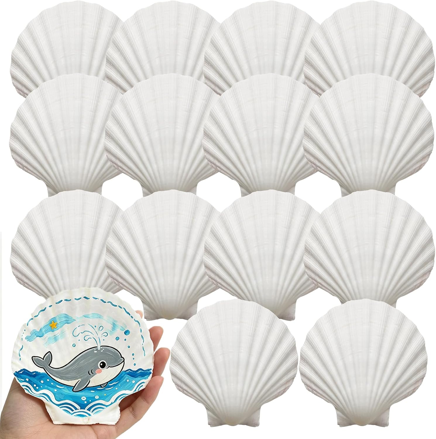 20PCS Natural White Scallop Shells 3-4 Inch for Crafts, DIY Painting, Beach Sea Home Decor, Large Seashells Bulk for Ocean Themed Party Decoupage Decoration