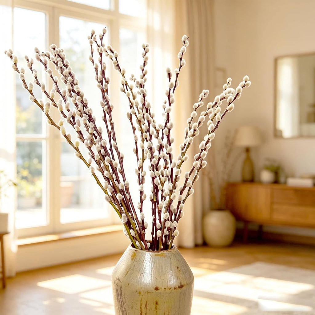 60 Stems 100% Natural 17 Inches Preserved Pussy Willow Flowers Pussy Willow Branches for Vases White Pussywillows for Festival Easter Wedding Home Party Hotel Fireplace Decor