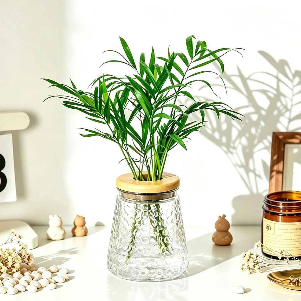 Plants Propagation Stations, Desktop Propagation Vase for Living Room, Bedroom, Wedding, Best Gifts for Plant Lovers, Clear