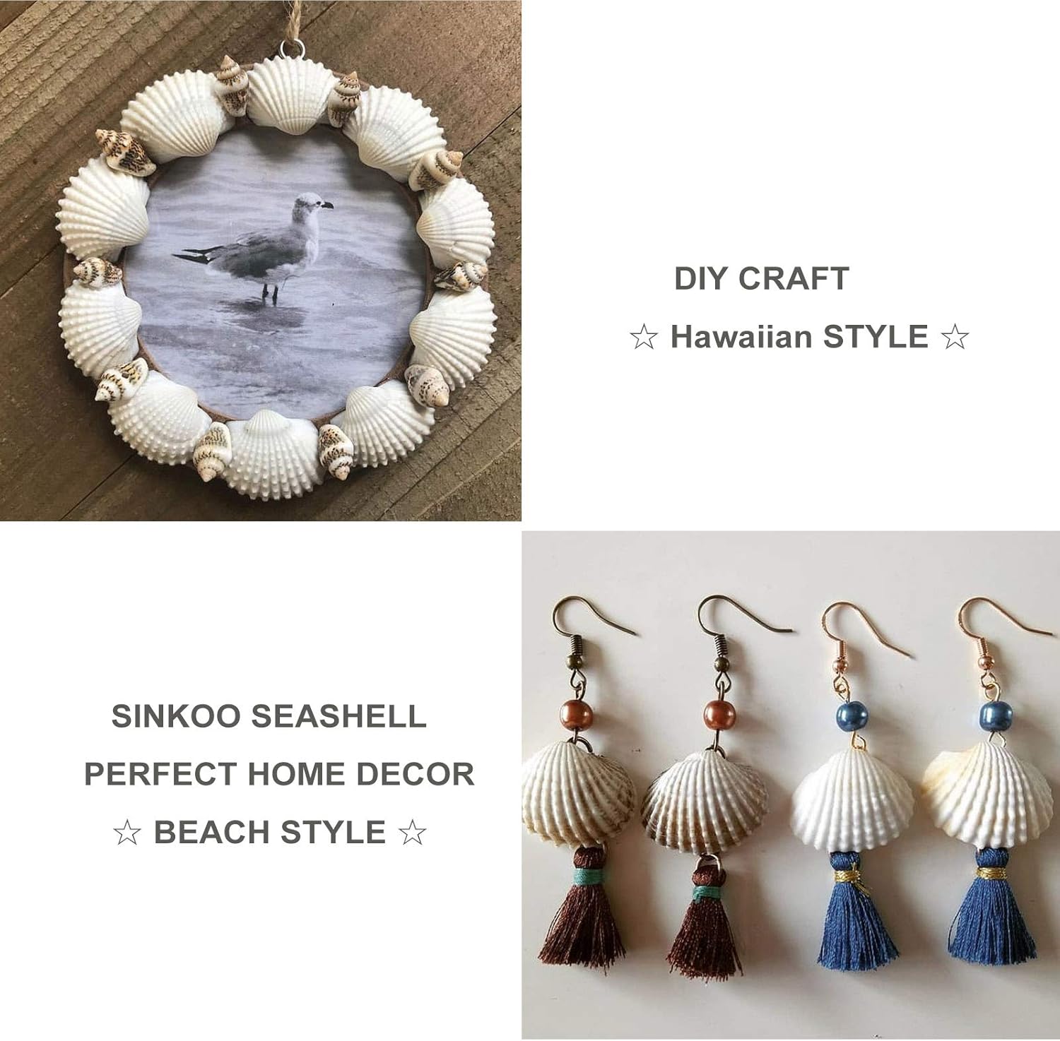 SINKOO Bulk Natural White Small Seashell Clam Super Shells Assortment for DIY Craft Beach Decor