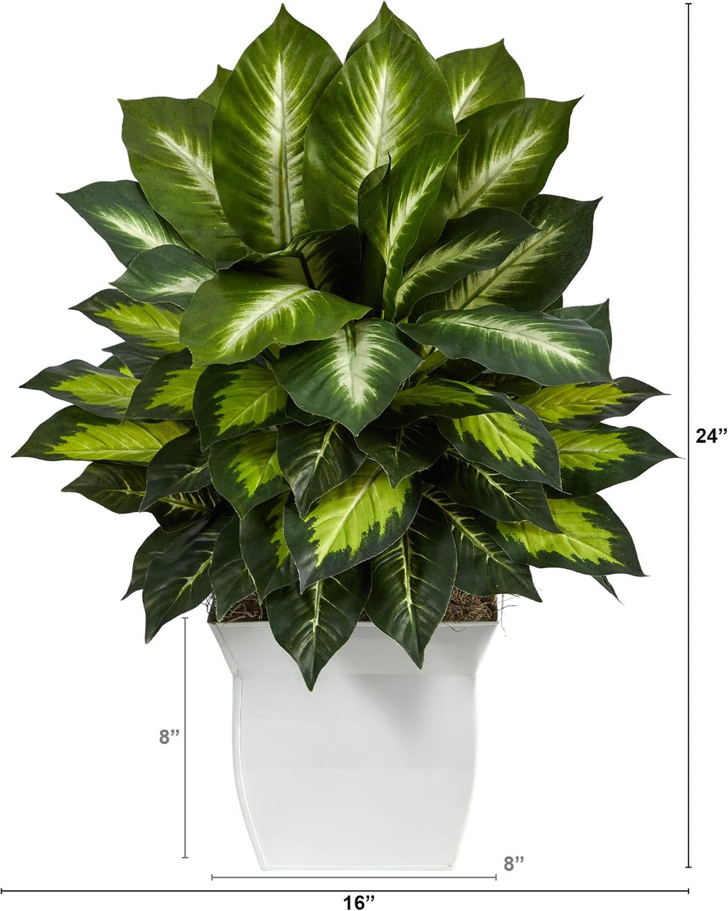 Nearly Natural 2ft. Golden Dieffenbachia Artificial Plant in White Metal Planter