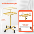 TASALON Rolling Salon Tray,Mobile Styling Station with Wheels Aluminum Rolling Tray Trolley for Salon Essentials, Adjustable Heightfor Hairstylist Tray with 10 PCS Disposable Salon Tray Cover,Gold
