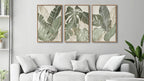 Large Framed Canvas Wall Art - Natural Float Framed Green Plantain Leaves Pictures Decor Brown Leaf Lines Painting Prints Rustic Botanical Artwork for Bedroom Living Room Decoration 60" X 28" Set of 3
