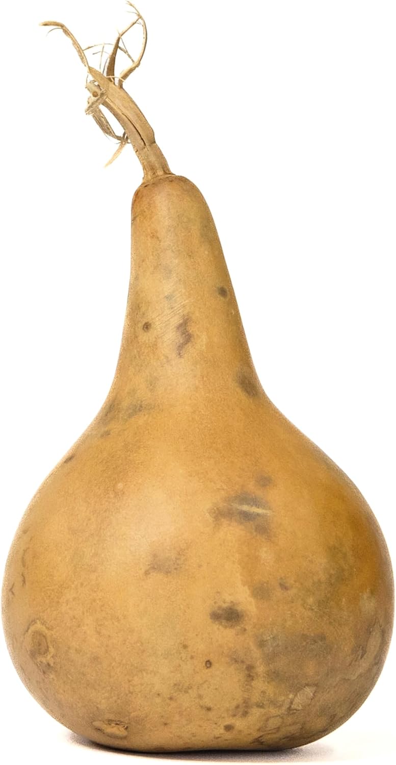 Box of 5 Dried Martin Gourds - 3" Diameter, Ready for Crafting or Decorating