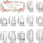 12 Pcs Glass Bud Vase Set, Small Glass Vases for Flowers, Mini Clear Bud Vases for Centerpieces, Wedding, Home, Office and Table Decoration, Clear