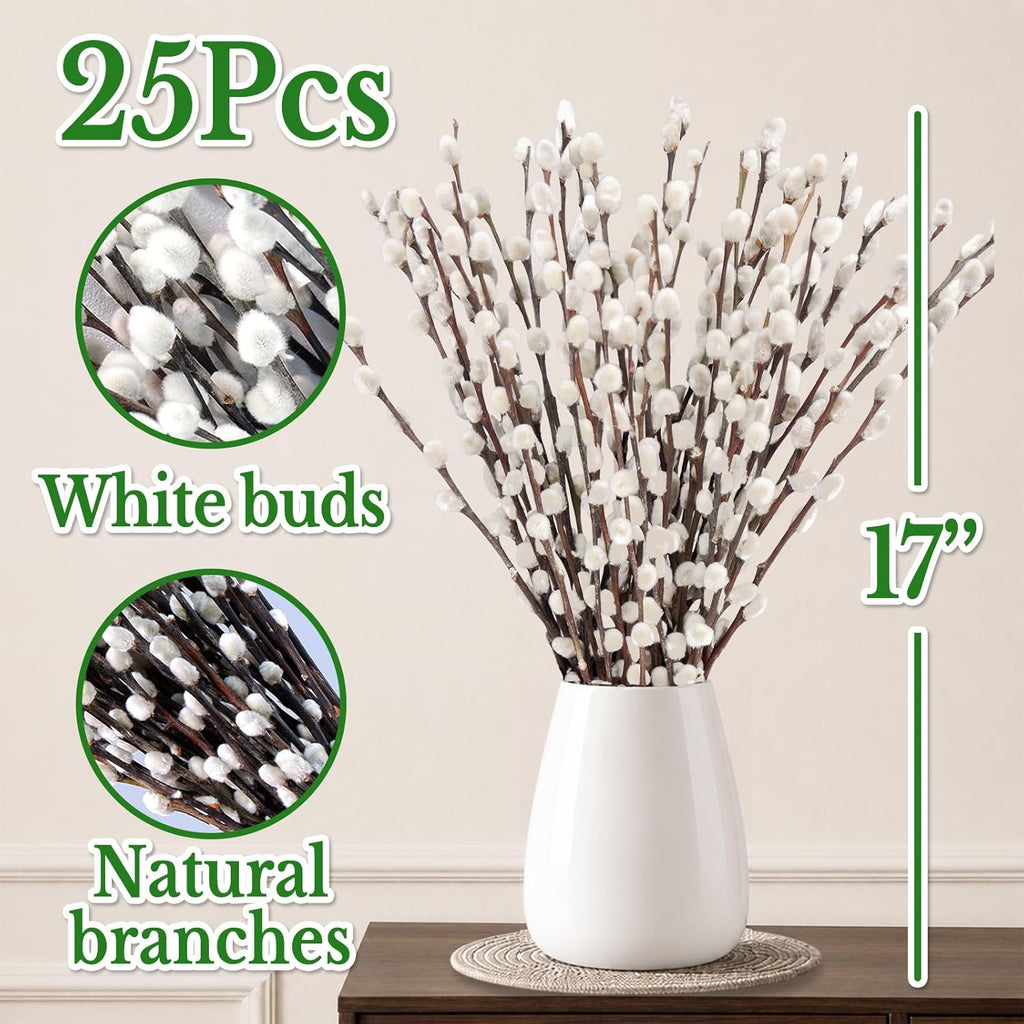 25 Stems Natural Dried Pussywillow Branches for Vases Decor, 15''-17'' Real Preserved Pussywillows with White Snow Willow Branches for Home Decor Wedding Party DIY Floral, Fireplace &Yard Decor