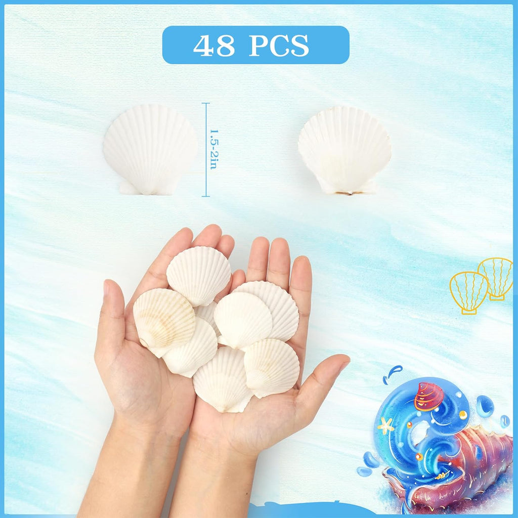 48 PCS Scallop Shells Natural Seashell, 1.5" to 2" White Scallop Shells Small Seashells for Crafts Wedding Decor Beach Theme Party, Fish Tank and Vase Filler