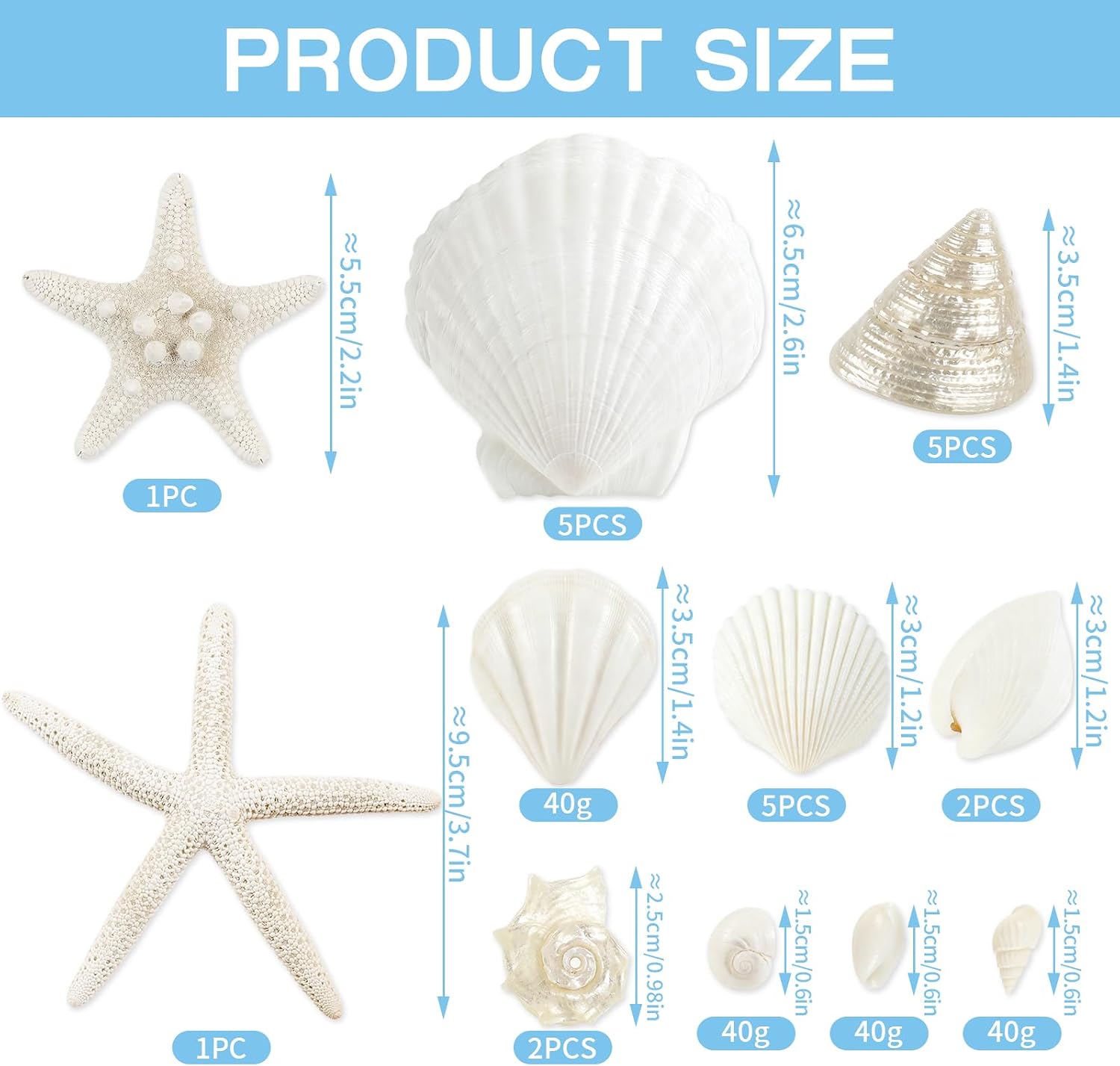 Fangoo 12 Kinds White Natural Beach Seashells Starfish Various Sizes Ocean Conchs Scallops Decorations for Nautical Themed Party DIY Craft Fish Tank Vase Fillers Home Wedding Decorations