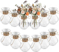 Bokon 5.7" Plastic Small Vases for Centerpieces, Plastic Bud Vase Bulk, Hyacinth Avocado Growing Vases, Tiny Flower Bulb Plant Propagation Containers for Wedding Living Room Table Decorations(12 Pcs)