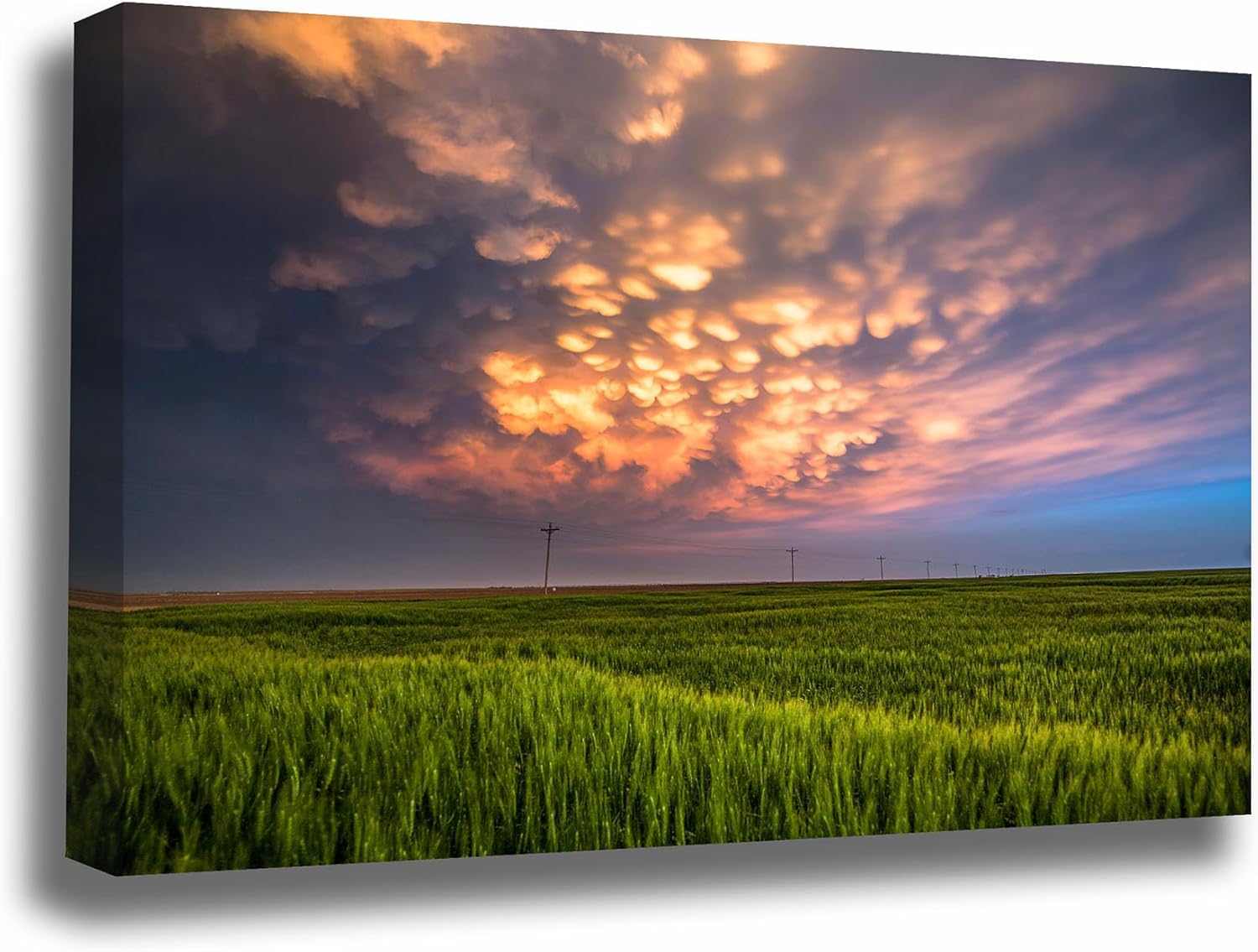 Storm Canvas Wall Art | Kansas Mammatus Clouds Stormy Sky Wheat Field Great Plains Thunderstorm Landscape Nature Gallery Wrap Photography Decor (20" x 30", .75" Depth)