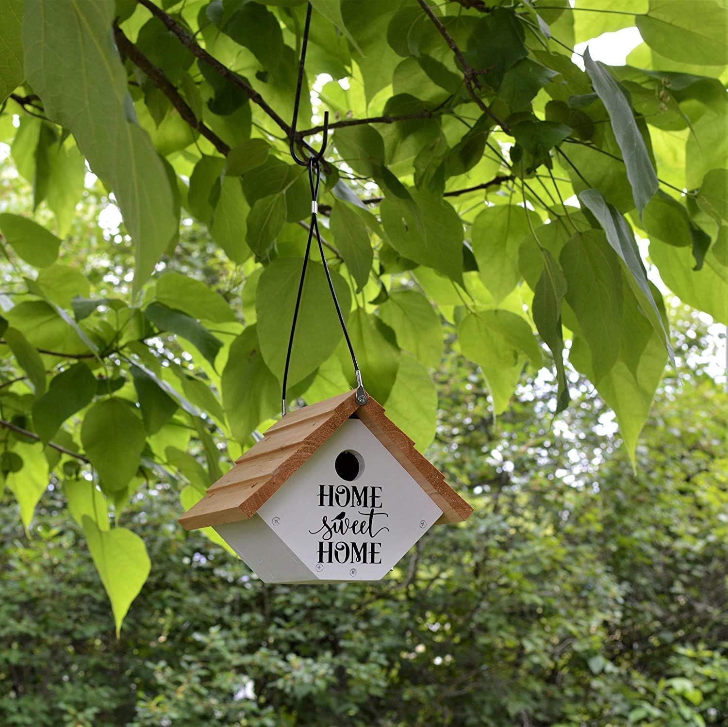 Wild Wings WWLH2-DECO Farmhouse Wren House, White