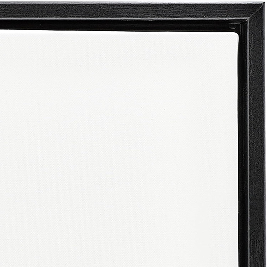 Stupell Industries 'Botanical Drawing Dandelion On Black Design', Floating Frame Canvas Art, Black, 17 x 21 Inches, Easy to Hang and Sturdy, Made in USA, by Lettered and Lined