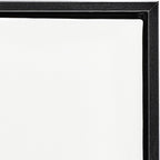 Stupell Industries 'Botanical Drawing Dandelion On Black Design', Floating Frame Canvas Art, Black, 17 x 21 Inches, Easy to Hang and Sturdy, Made in USA, by Lettered and Lined