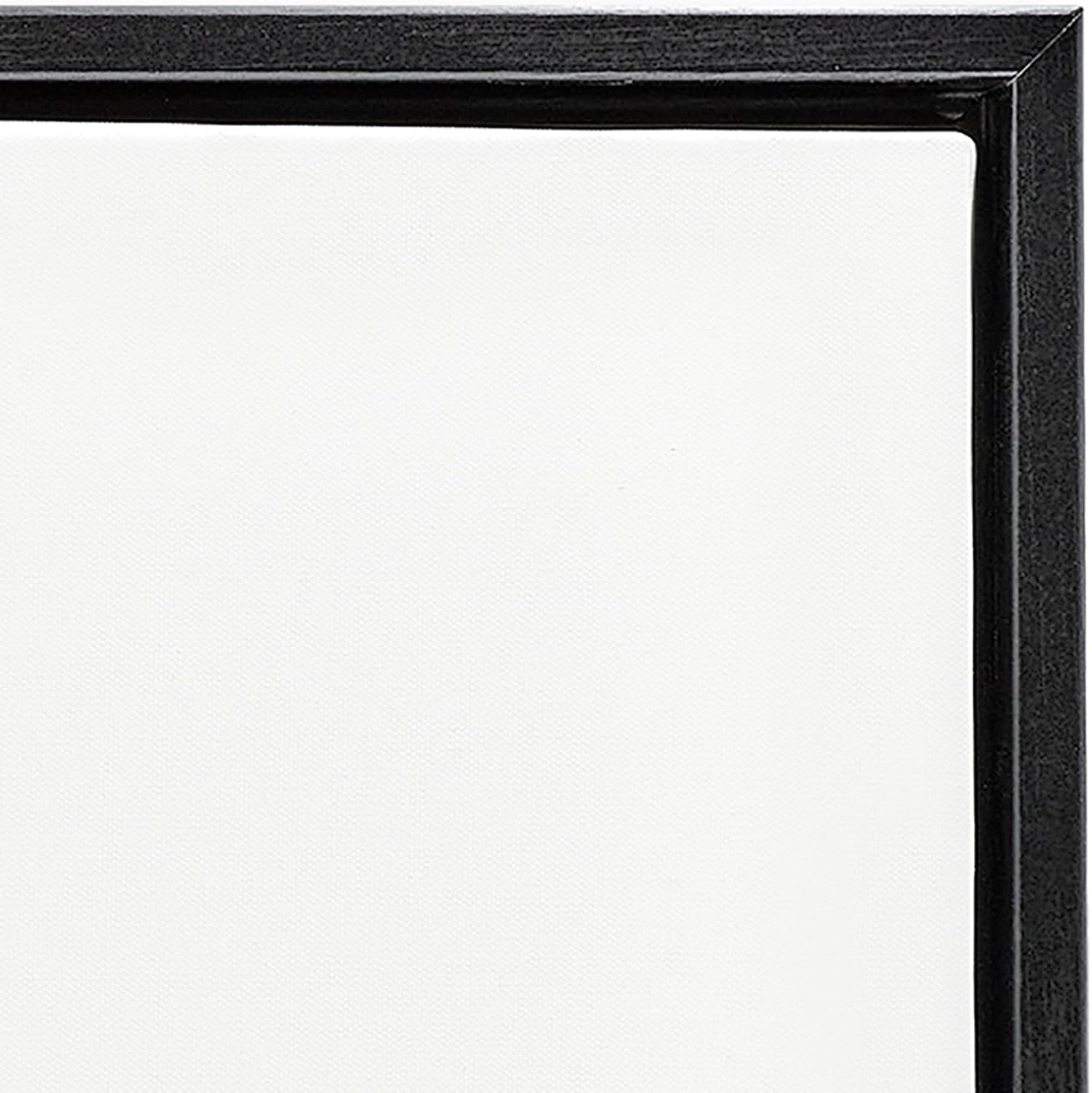Stupell Industries 'Botanical Drawing Dandelion On Black Design', Floating Frame Canvas Art, Black, 17 x 21 Inches, Easy to Hang and Sturdy, Made in USA, by Lettered and Lined