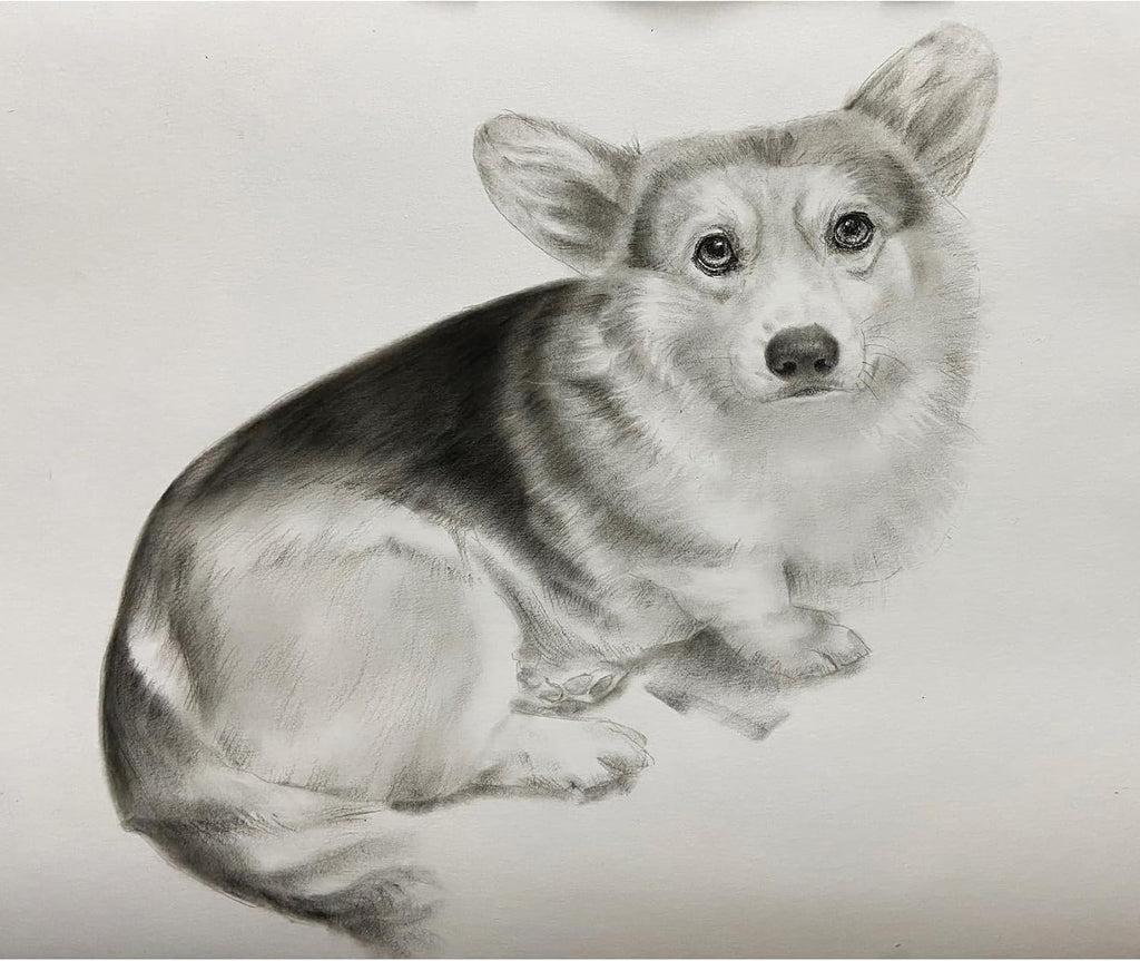 Custom Pet Portrait 100% Hand-Drawn charcoal Sketch from Photo,Pencil Drawing,Border cogg Pastel Personalized Dog or Cat Drawing,Unique Gift for Pet Lovers (8X10in Sketch 1)