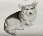 Custom Pet Portrait 100% Hand-Drawn charcoal Sketch from Photo,Pencil Drawing,Border cogg Pastel Personalized Dog or Cat Drawing,Unique Gift for Pet Lovers (8X10in Sketch 1)