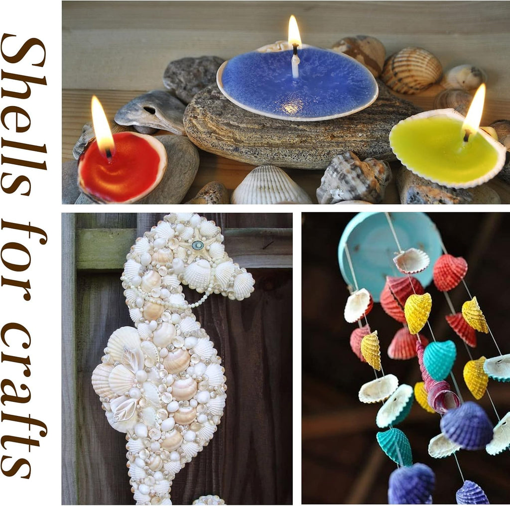 LUCKY BABY 140-160Pcs Small Seashells for Crafts 0.5"-1.25", Natural White Bulk Mini Sea Shells for DIY Painting, Vase Filler, Beach Wedding Decor, Candle Making, Home Decoration, 330g