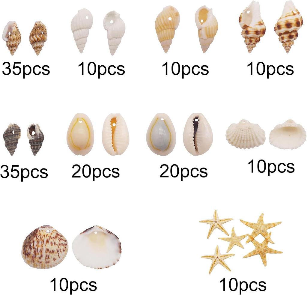 yaokan 10 Styles Natural Sea Shells & Starfish Set - Assorted Pre-Drilled Beach Seashells for DIY Crafts, Home Decor, Jewelry Making & Wedding Party Decorations