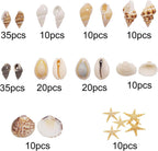 yaokan 10 Styles Natural Sea Shells & Starfish Set - Assorted Pre-Drilled Beach Seashells for DIY Crafts, Home Decor, Jewelry Making & Wedding Party Decorations