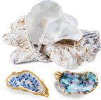 12 Pcs Natural Oyster Shells for Crafts, 5-6 inch Extra Large Seashells for Crafting, Shell Painting, Beach Wedding & Christmas Decor, Vase Filler, DIY Home Decor, Craft Shells