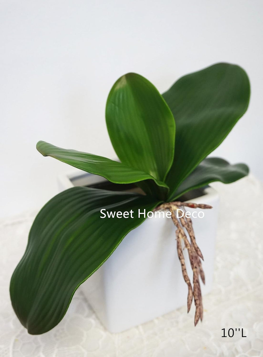 Sweet Home Deco Gel Coated Phanaenopsis Orchid Artificial Greenery Leaf with Realistic Roots Set of 2 (1, 10''L)