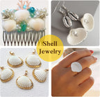 LUCKY BABY 140-160Pcs Small Seashells for Crafts 0.5"-1.25", Natural White Bulk Mini Sea Shells for DIY Painting, Vase Filler, Beach Wedding Decor, Candle Making, Home Decoration, 330g
