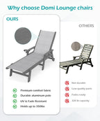 Domi Outdoor Pool Lounge Chairs Set of 2, HDPE Patio Lounge Chair with Wheels, Chaise Lounge Chair for Pool, Sunbathing Tanning, Lawn, Grey
