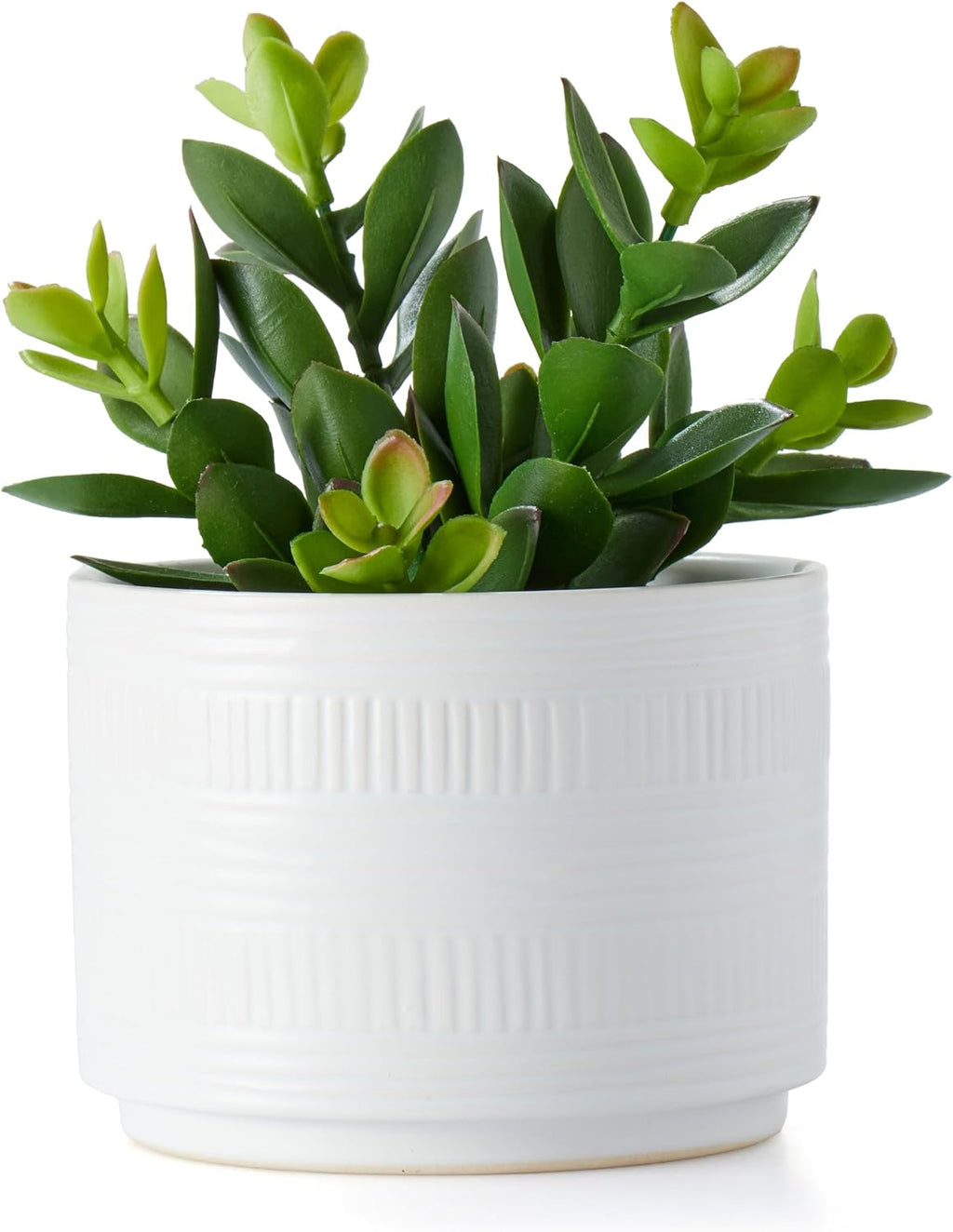 Kurrajong Farmhouse Artificial Plant in Matte White Ceramic Pot | 7.5" Fake Plant for Desk Decor | Artificial Succulent in Pot | Fake Succulent | Faux Plant Indoor | Faux Plant for Shelf Decor