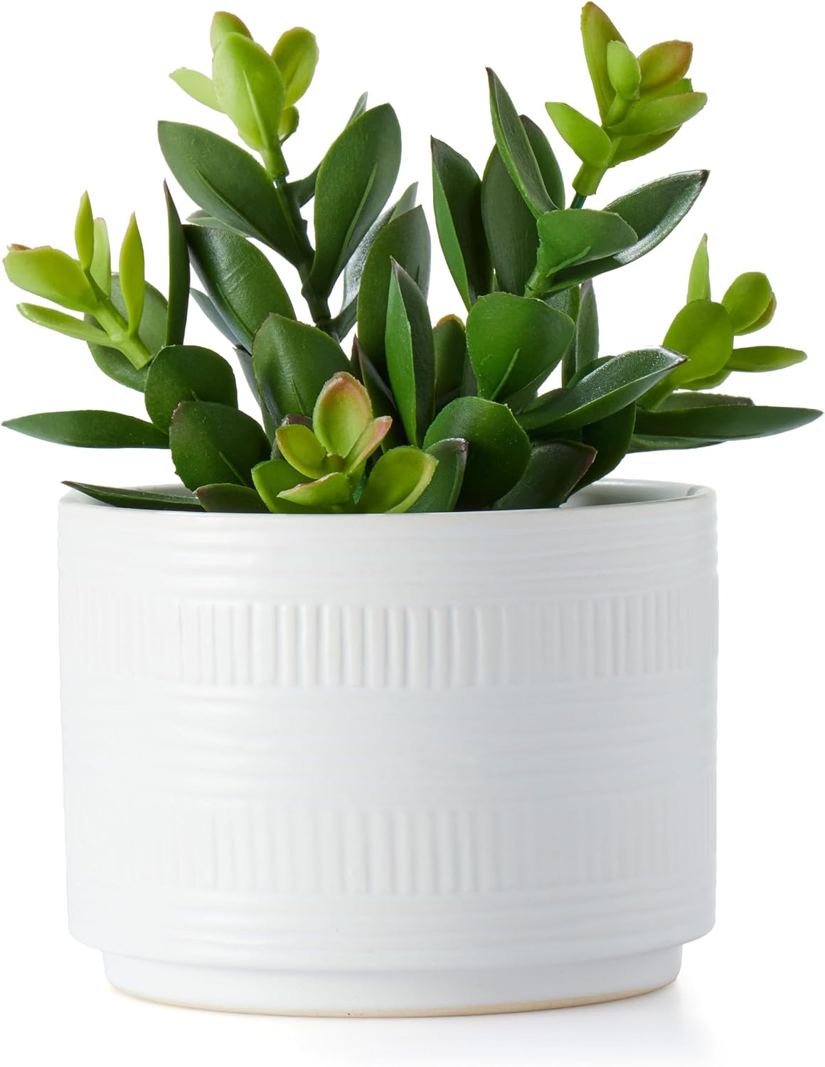 Kurrajong Farmhouse Artificial Plant in Matte White Ceramic Pot | 7.5" Fake Plant for Desk Decor | Artificial Succulent in Pot | Fake Succulent | Faux Plant Indoor | Faux Plant for Shelf Decor