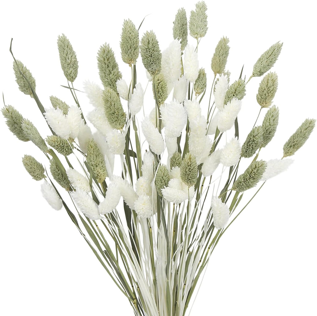 CISDUEO 80 Pcs Dried Flowers Stems Natural Dried Pampas Grass Bouquets White and Green Gem Grass Artificial Dried Plants for Autumn Vase Filler Floral Arrangements Boho Home Table Wedding Decoration