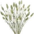 CISDUEO 80 Pcs Dried Flowers Stems Natural Dried Pampas Grass Bouquets White and Green Gem Grass Artificial Dried Plants for Autumn Vase Filler Floral Arrangements Boho Home Table Wedding Decoration