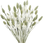 CISDUEO 80 Pcs Dried Flowers Stems Natural Dried Pampas Grass Bouquets White and Green Gem Grass Artificial Dried Plants for Autumn Vase Filler Floral Arrangements Boho Home Table Wedding Decoration