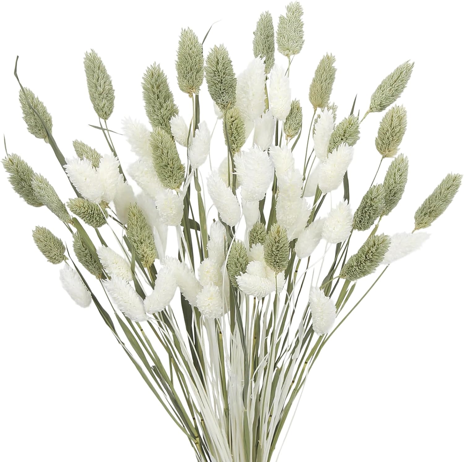CISDUEO 80 Pcs Dried Flowers Stems Natural Dried Pampas Grass Bouquets White and Green Gem Grass Artificial Dried Plants for Autumn Vase Filler Floral Arrangements Boho Home Table Wedding Decoration