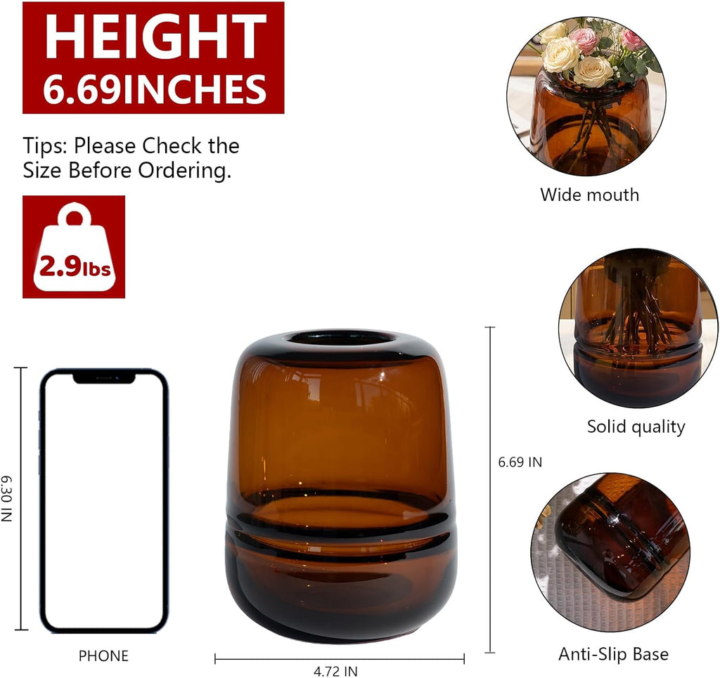Relexome Amber Glass Flower Vase for Centerpieces Flowers 6.7 Inch Round Modern Glass Bud Vase Decorative Vases for Home Decor, Living Room, Dining Table, Entryway, Shelf, Office