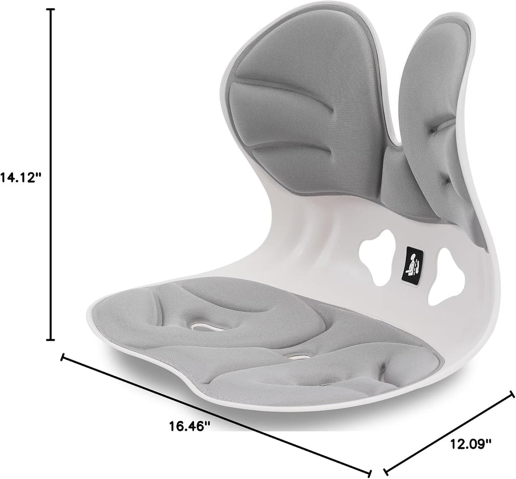 Deziya 2nd Generation Posture Corrector Chair - Seat Size • Cushion Thickness • Total Breathability Progress: Balance Chair, Lower Back Pain (Recommended by Trainers