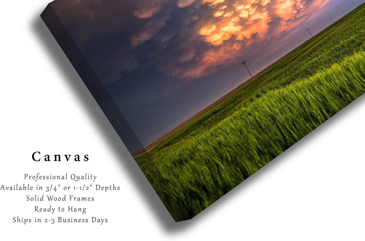 Storm Canvas Wall Art | Kansas Mammatus Clouds Stormy Sky Wheat Field Great Plains Thunderstorm Landscape Nature Gallery Wrap Photography Decor (20" x 30", .75" Depth)