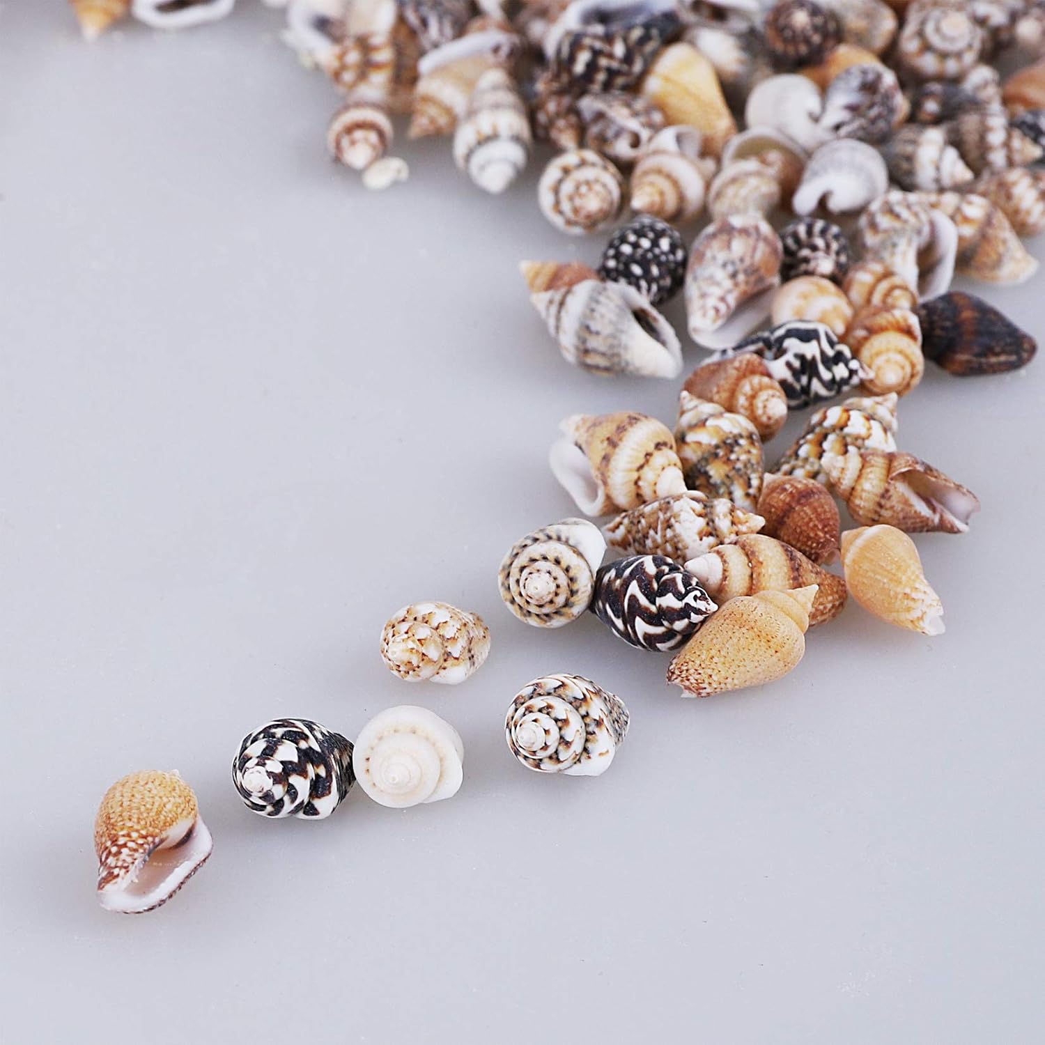 2000 PCS Tiny Mini Small Sea Shells for Crafting Spiral Conch Shells for Crafts Charms for Home Decorations Candle Decor DIY Fish Tank and Beach Vase Filler