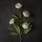Juxdp 6 PCS Artificial Peony Branches for Vase - 27" Fake Silk Peonies Stems Look Real Faux Flowers for DIY Bouquet, Table Centerpieces, Farmhouse, Home Decor (Cream)