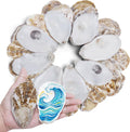 30PCS 3"-4" Flat Oyster Shells, Natural Seashells for Crafts, Decoupage, Beach Wedding Decor & Christmas Ornaments, Bulk Medium Oyster Shells