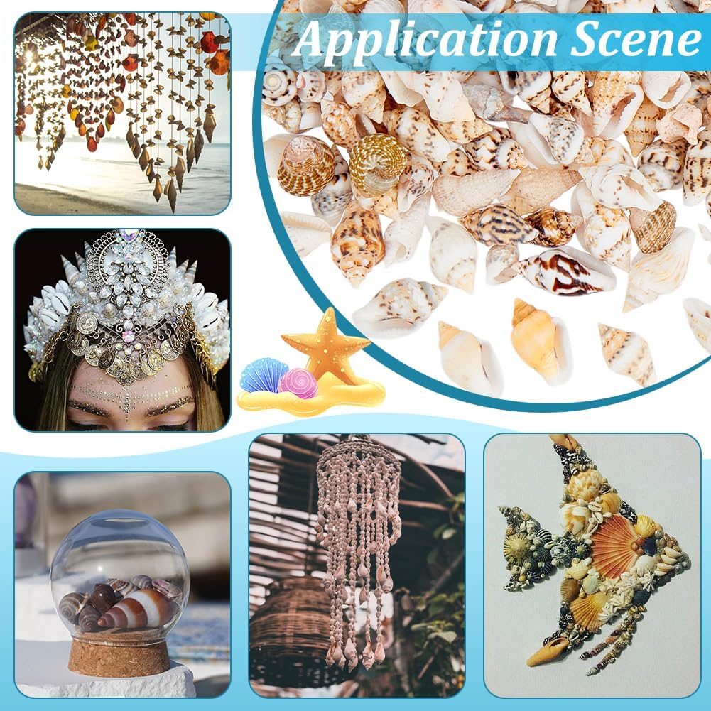 PH PandaHall 1400-1500pcs Tiny Sea Shells 7-12mm Tiny Crushed Shells Miniature Shell NO Hole Seashells Ocean Spiral Seashells for Resin Crafting Candle Home Party Wedding Fish Tank Vase Filler