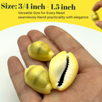 31PCS Money Cowrie Sea Shells, 3/4 Inch-1-1/2 Inch | Lakshmi Peeli Yellow Kawri Kodi Shells/Monetaria Monta Shell for Pooja/Necklace/Art Craft & Bracelet Making