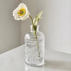 TIWPAJS Propagation Vases for Plants, Bud Vases, Small Glass Vase for Flowers, Home Decor, Table Decor, Shelf Decor, Desk Decor, Office Decor