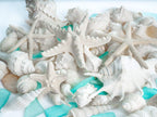 Nautical Crush Trading Sea Shells - White Real Mixed Beach Seashells (1lb) with Starfish & Sea Glass - Shells for Crafts - Ocean Decor - Beach Party Decorations - Seashell Decor - Large Shells Crafts