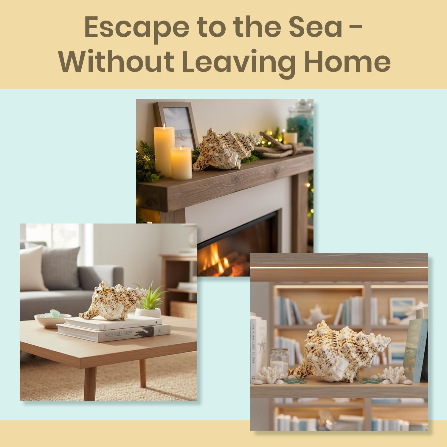 Conch Shell Decor - Seashell Decor (9in)