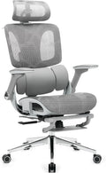 Ergonomic Mesh Office Chair with Footrest, High Back Desk Chair with 4D Armrests, 3-Zone Dynamic Lumbar Support, Ergonomic Office Chair with Wheels (Silver Gray)