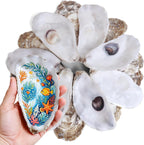20Pcs Extra Large Flat Oyster Shells 5-6 Inch Natural Oyster Shells for Crafts, Home Vase Filler, DIY Arts and Crafts, Christmas Ornaments, Coastal Decor, Decoupage, Painting, Seashells Bulk